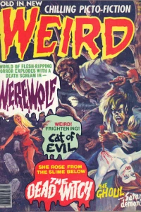 Issue #11.01