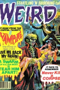 Issue #11.04