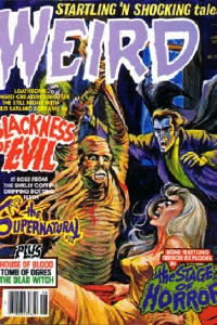 Issue #12.02