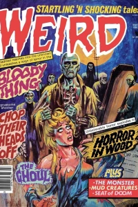 Issue #13.01