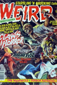 Issue #13.03