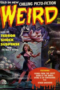 Issue #2.02