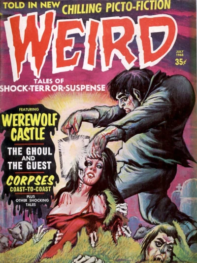 Cover of Issue #2.08