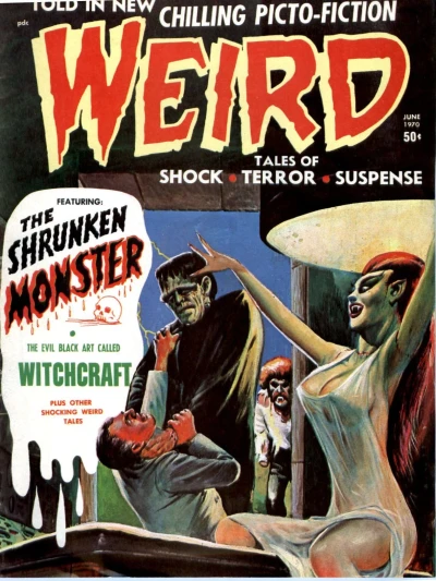 Cover of Issue #4.03