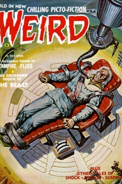 Issue #5.04