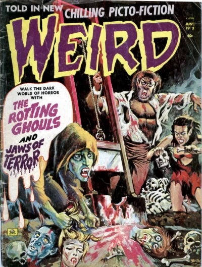 Cover of Issue #7.04