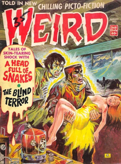 Cover of Issue #7.05