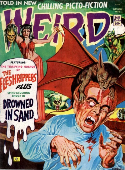 Cover of Issue #7.06