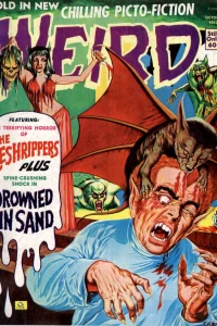Issue #7.06