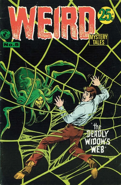 Cover of The Deadly Widow's Web