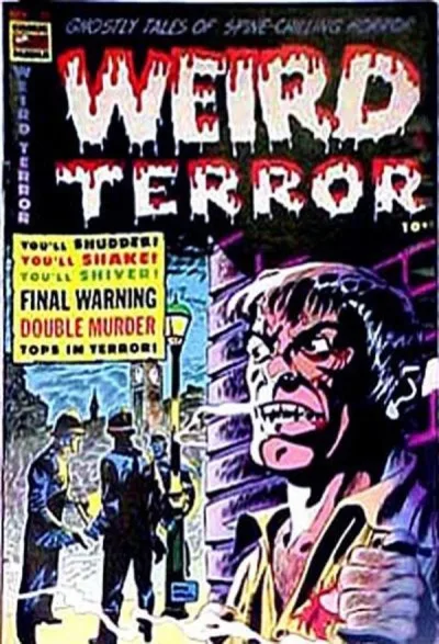 Cover of Issue #13