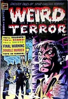 Cover of Issue #13