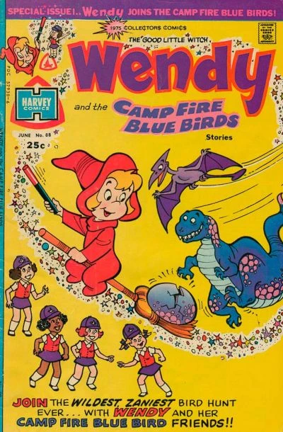 Cover of Wendy and the Camp Fire Blue Birds