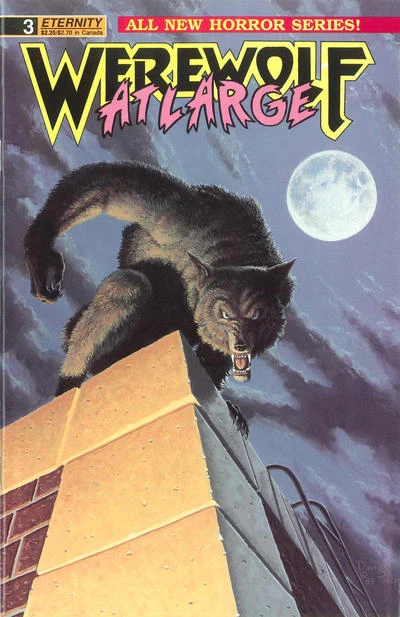 Cover of Issue #3