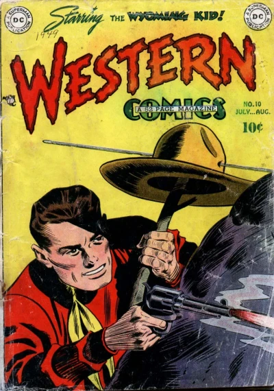 Cover of The Texas Volunteers