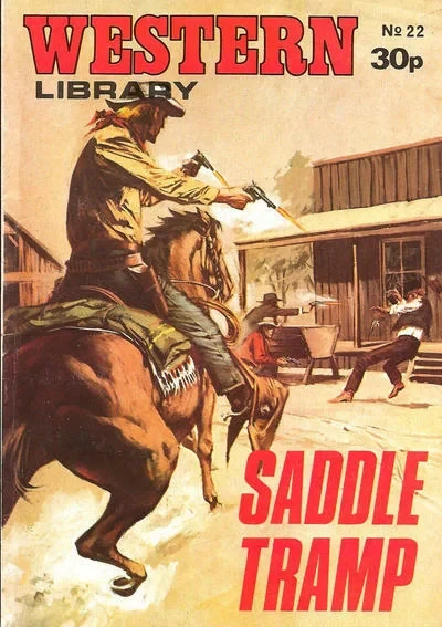 Cover of Issue #22