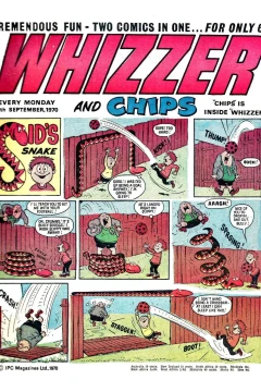 Issue #701019