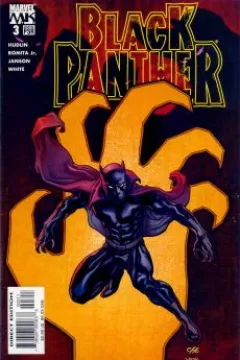 Who Is The Black Panther? Part 3