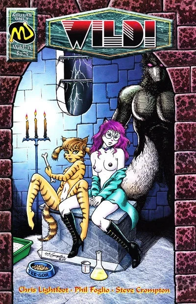 Cover of Issue #13