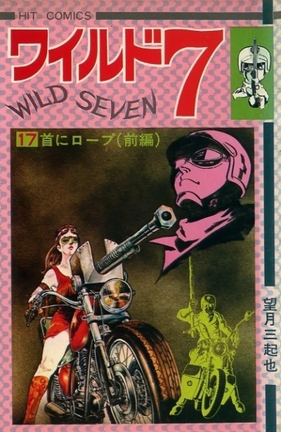Cover of Vol. 17