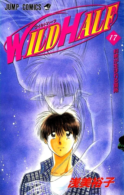 Cover of Vol. 17
