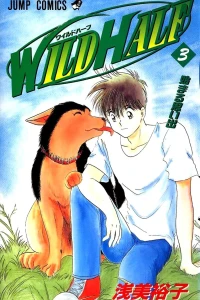 Vol. 3