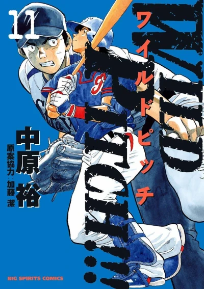 Cover of Vol. 11