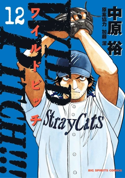 Cover of Vol. 12