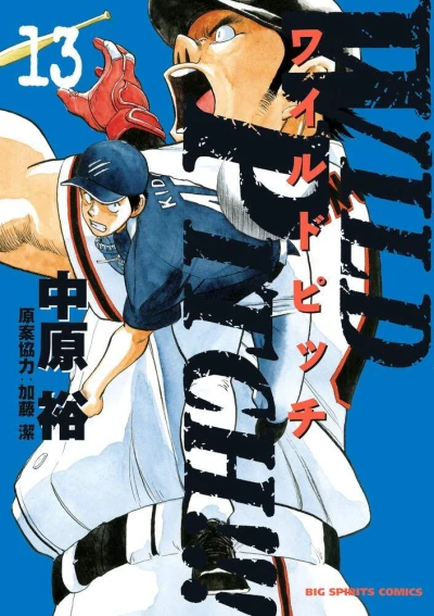 Cover of Vol. 13