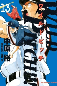 Vol. 13