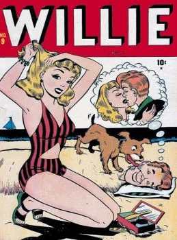 Cover of Washing Willie's Windows!