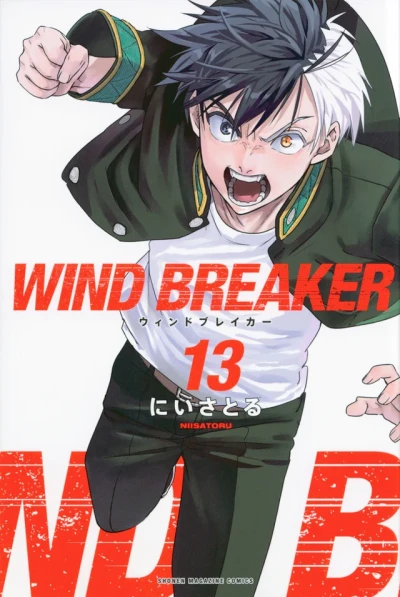 Cover of Volume 13