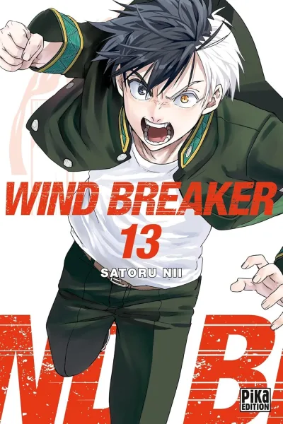 Cover of Issue #13