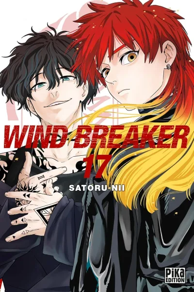 Cover of Issue #17