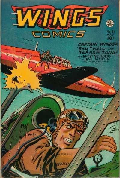 Cover of Sky Trail of the Terror Tong!