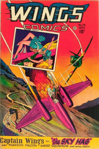 Cover of The Sky Hag