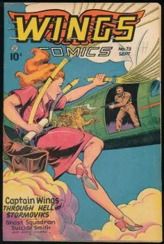 Cover of Through Hell and Stormoviks