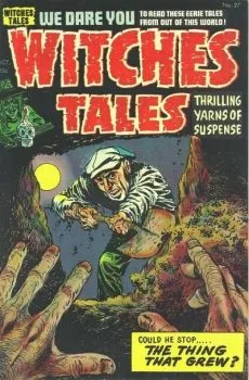 Cover of Issue #27