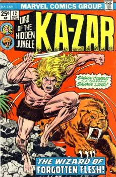 Cover of Wizard of Forgotten Flesh