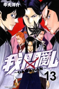 Vol. 13
