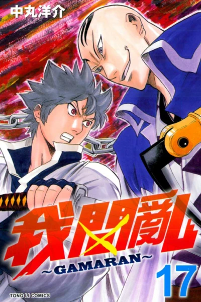 Cover of Vol. 17
