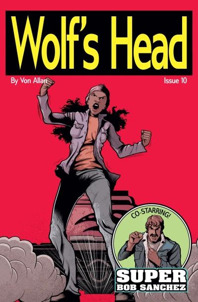 Cover of Friends and Foes