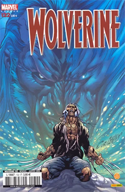 Cover of Issue #132