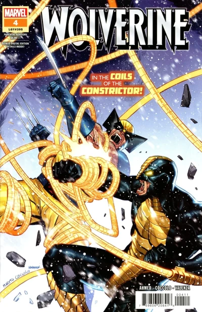 Cover of Lost and Found