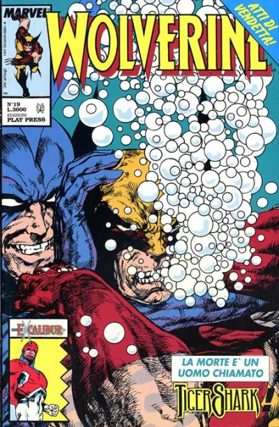 Cover of Issue #19
