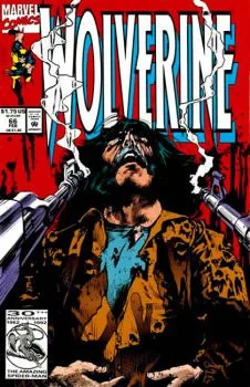 Cover of Prophecy