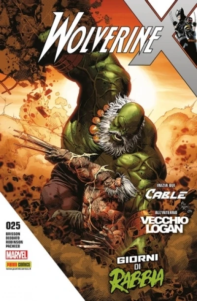 Cover of Giorni di rabbia