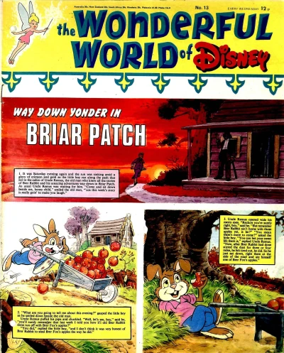 Cover of Issue #13