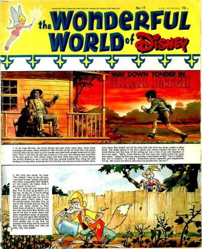 Cover of Issue #17