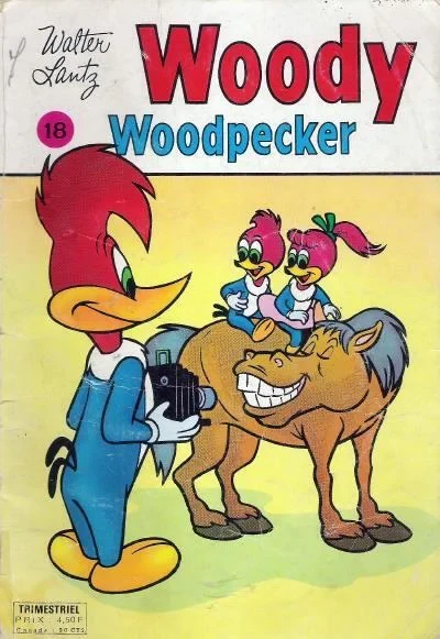 Cover of Issue #18